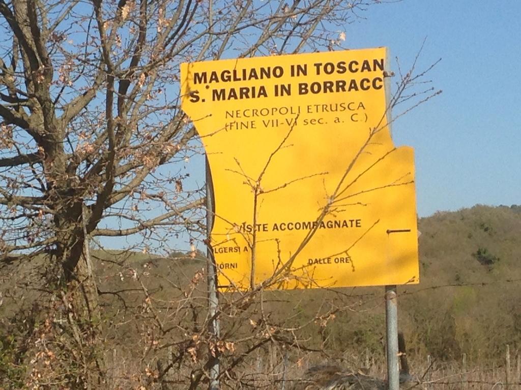 Bed and Breakfast Residenza Santa Maria In Borraccia Magliano in Toscana Zewnętrze zdjęcie