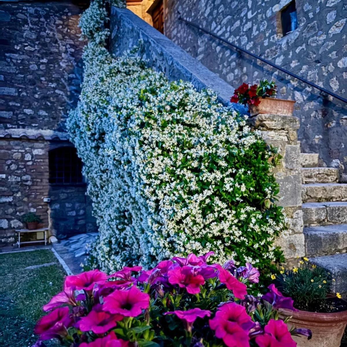Bed and Breakfast Residenza Santa Maria In Borraccia Magliano in Toscana Zewnętrze zdjęcie