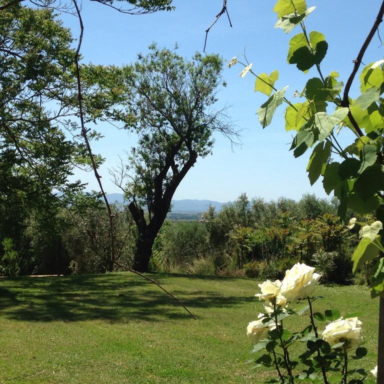 Bed and Breakfast Residenza Santa Maria In Borraccia Magliano in Toscana Zewnętrze zdjęcie