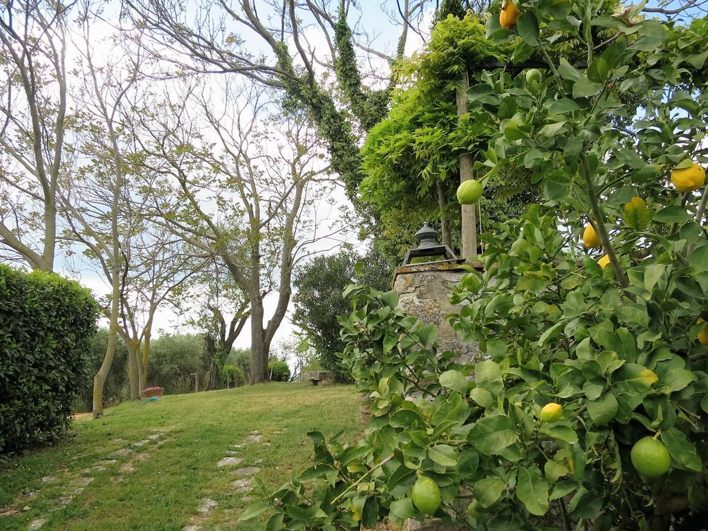 Bed and Breakfast Residenza Santa Maria In Borraccia Magliano in Toscana Zewnętrze zdjęcie
