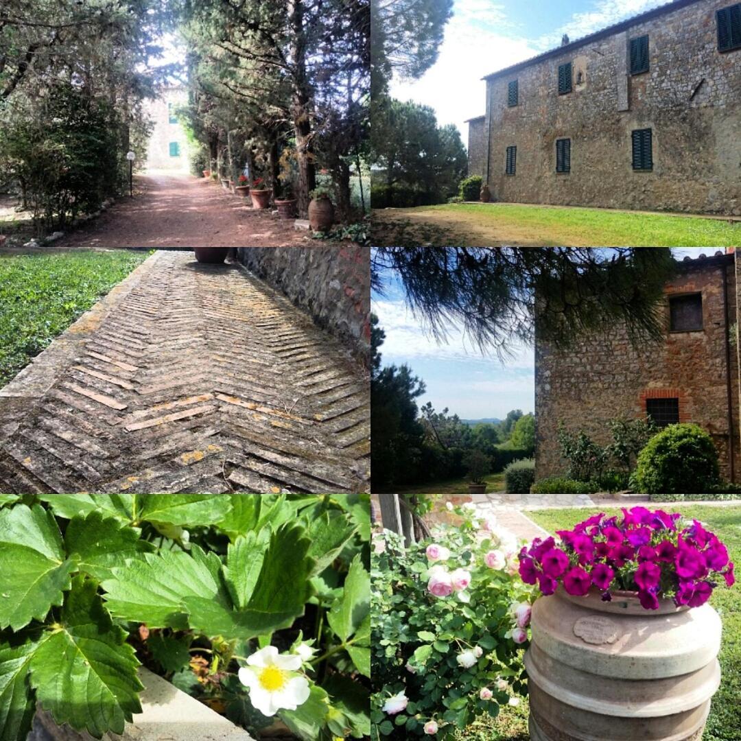 Bed and Breakfast Residenza Santa Maria In Borraccia Magliano in Toscana Zewnętrze zdjęcie