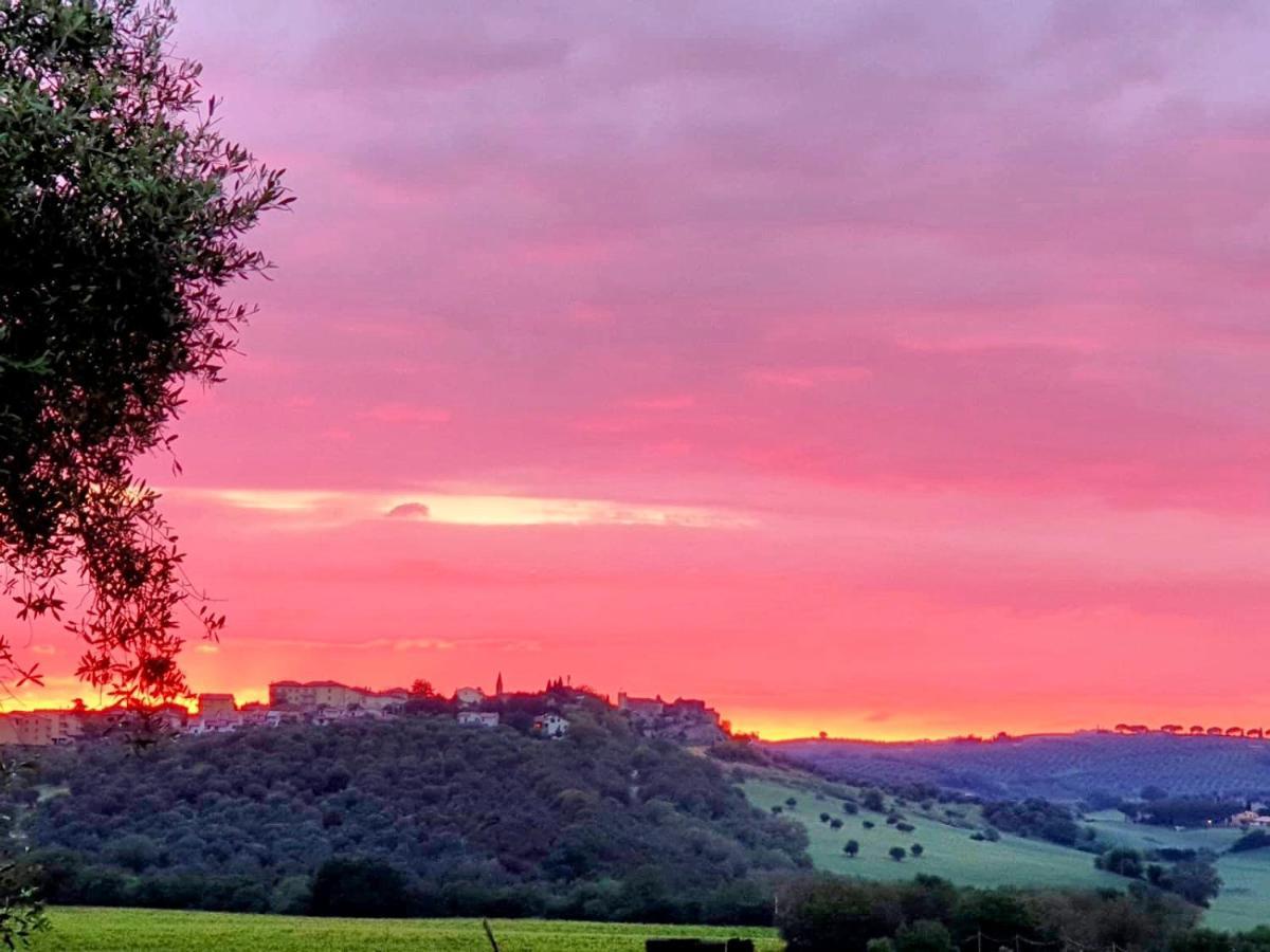 Bed and Breakfast Residenza Santa Maria In Borraccia Magliano in Toscana Zewnętrze zdjęcie