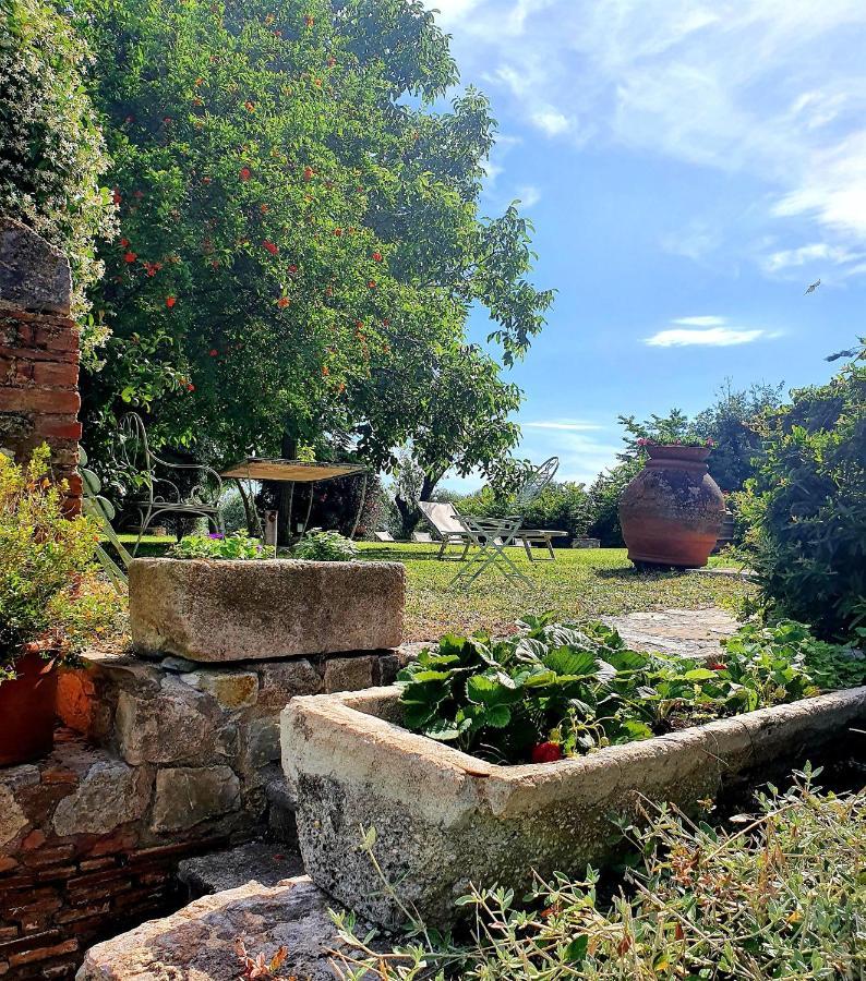 Bed and Breakfast Residenza Santa Maria In Borraccia Magliano in Toscana Zewnętrze zdjęcie